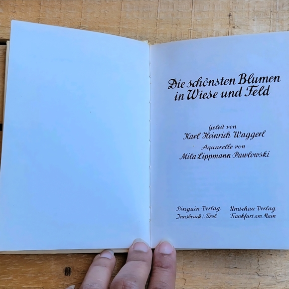 Vintage Floral Art Book with Red and Green Illustrations - Picture 5 of 13